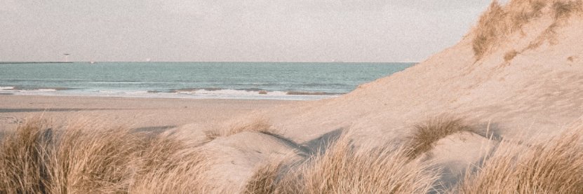 SuzanneElias's profile banner image