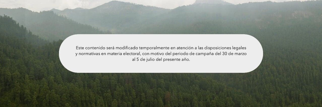 Cultura M Contreras banner