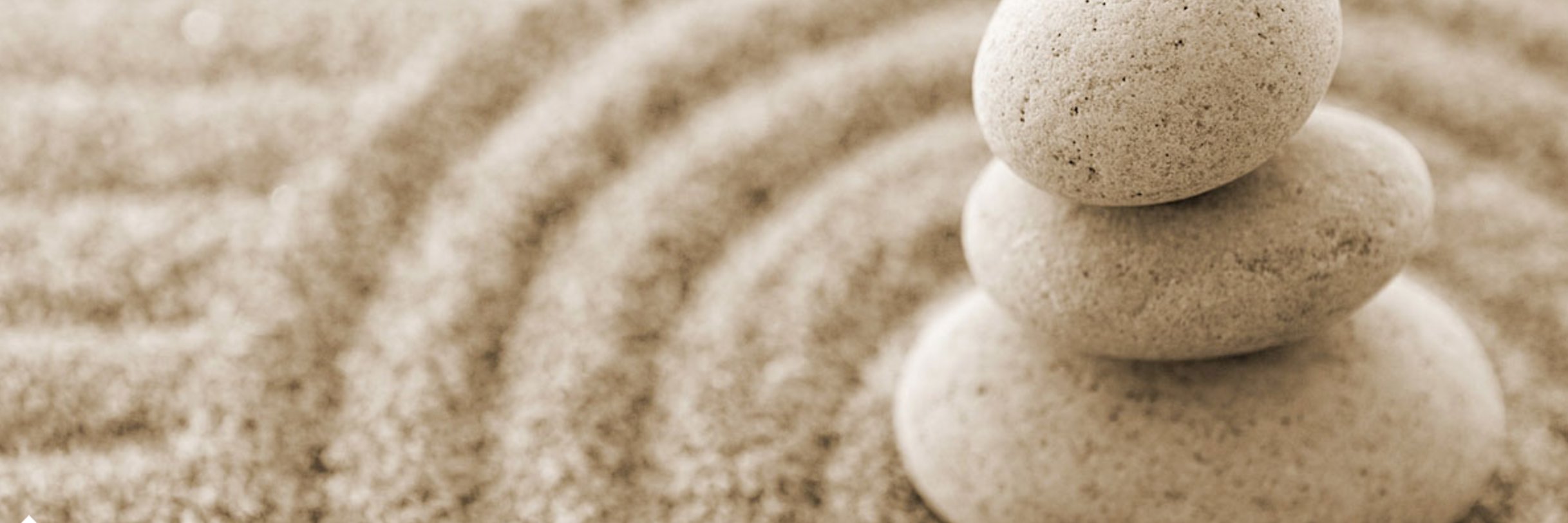 mindful_wisdom's profile banner image