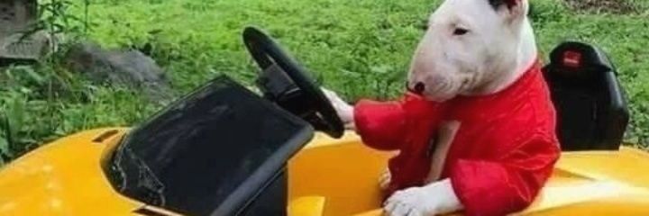 eatshitandiee's profile banner image
