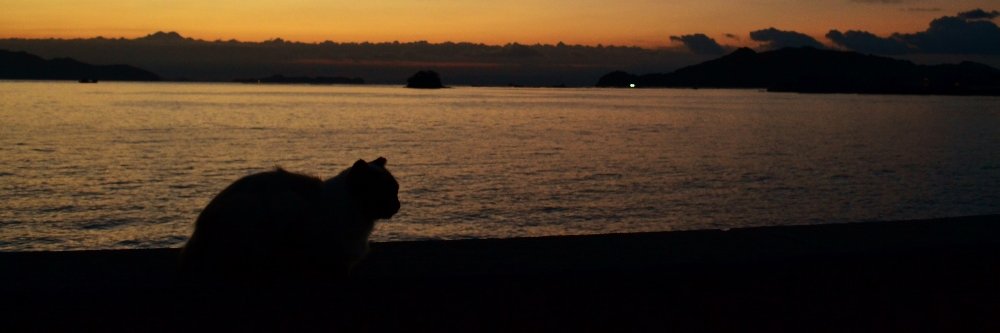 kazu22pv's profile banner image