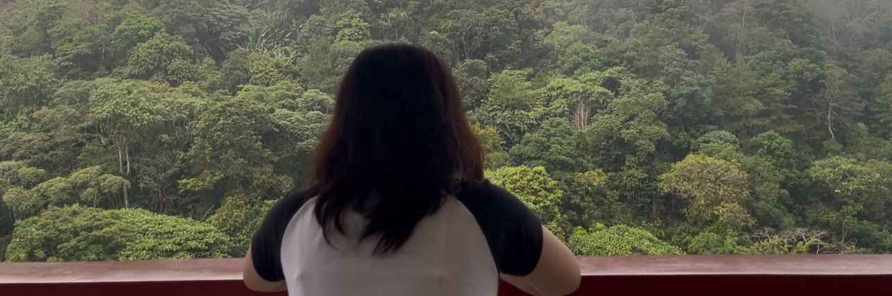 herleneamaro's profile banner image