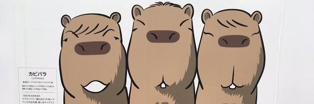 hpyon_21's profile banner image