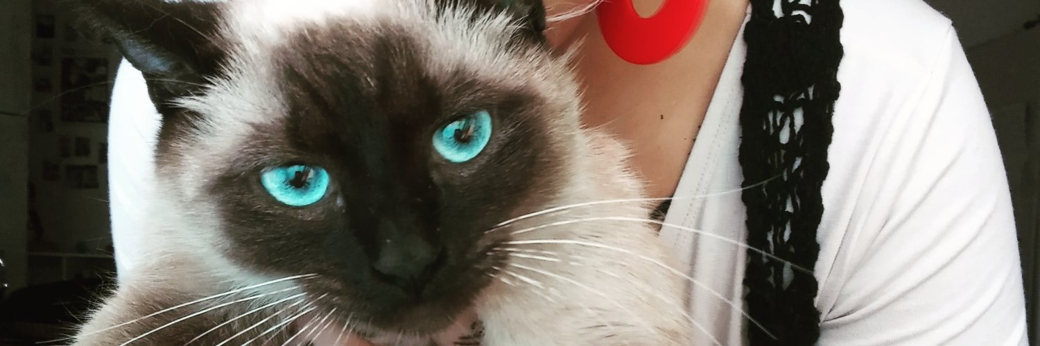 negraforraa's profile banner image