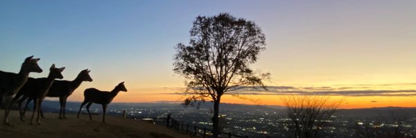 narashika11 Profile Banner