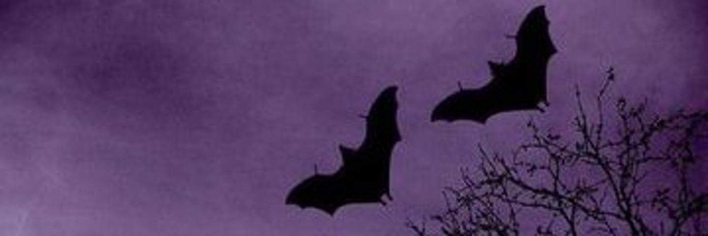 Lurch0x's profile banner image