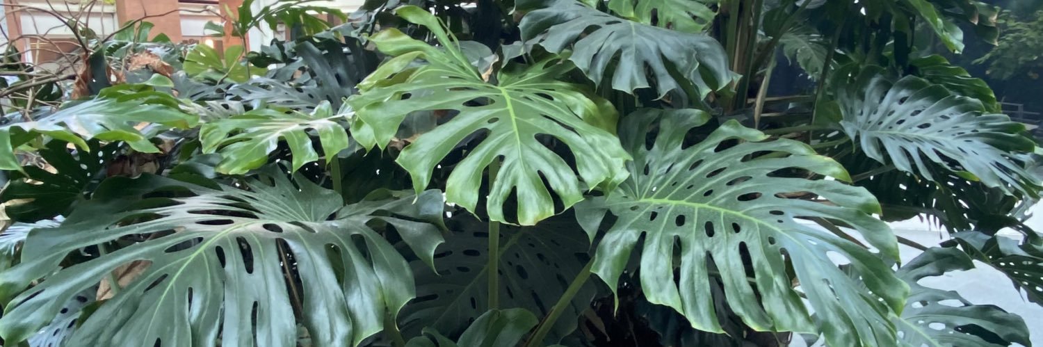 indiamurray65's profile banner image
