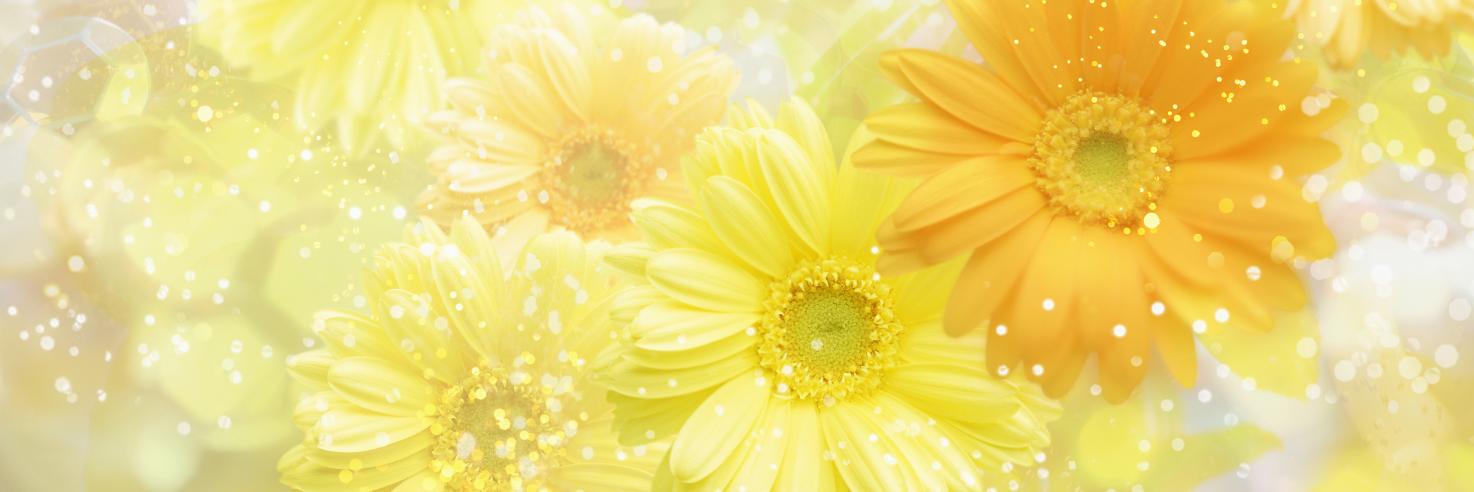 168_mmj's profile banner image