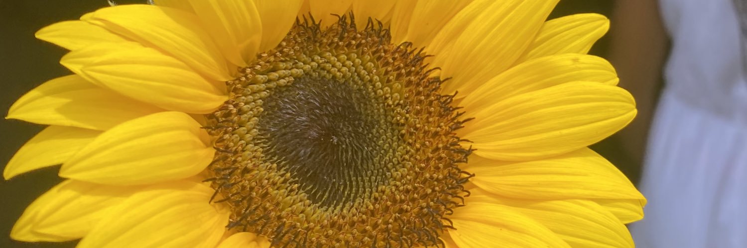 trippy_kopa's profile banner image