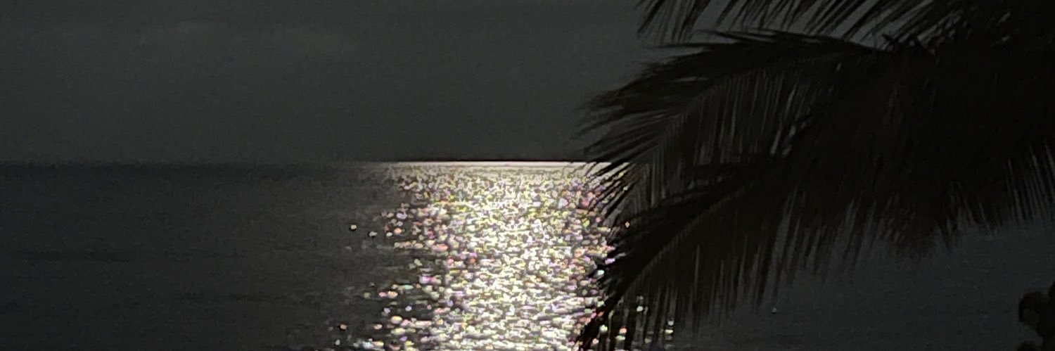 Carriedooo's profile banner image