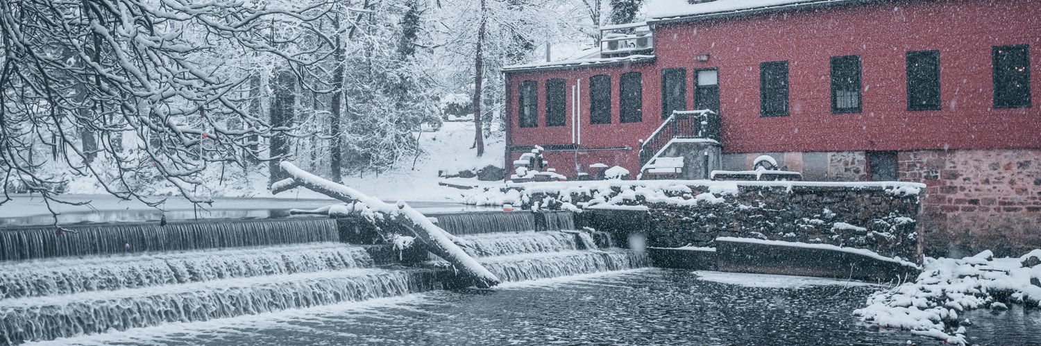 Andrew Timoni 🇺🇸🇮🇹 banner