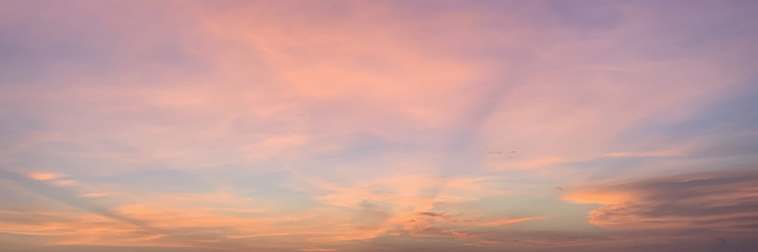 predatorjoker's profile banner image