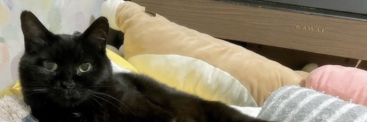 ncko_f's profile banner image