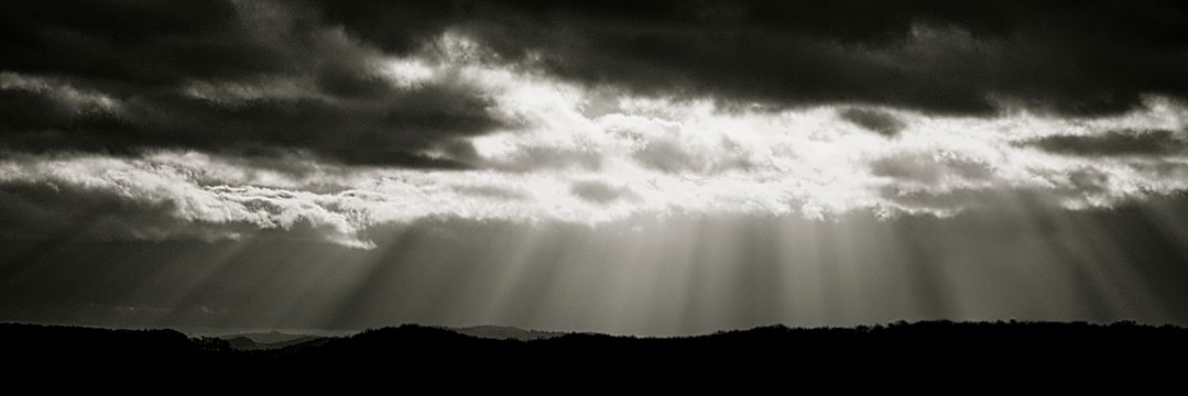 Paluseye's profile banner image