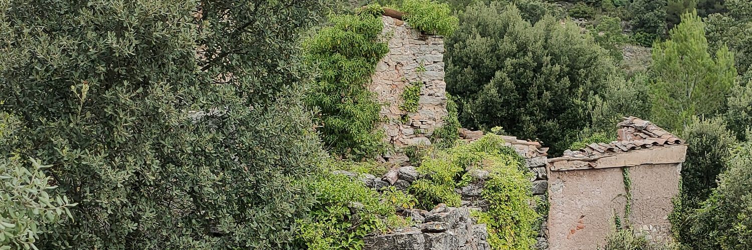 NúriaAlmansa banner