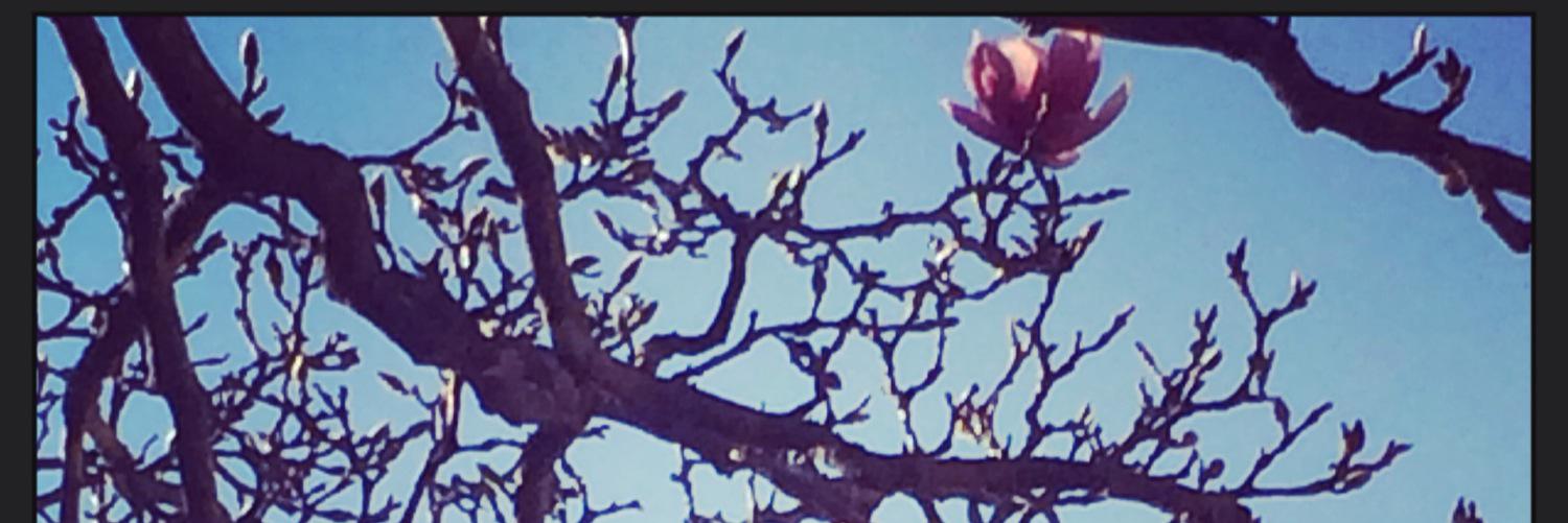 GetUpAndGoNow's profile banner image
