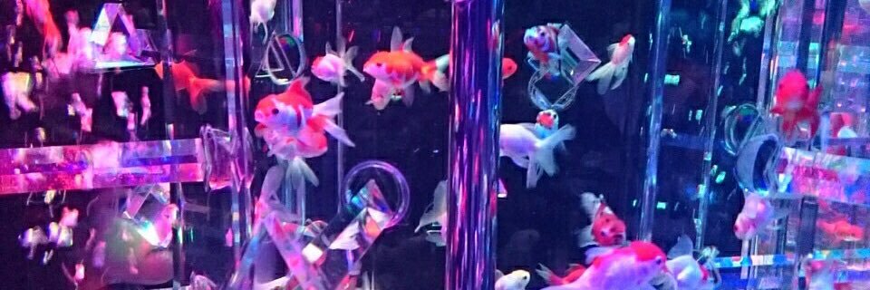 hrdmn's profile banner image