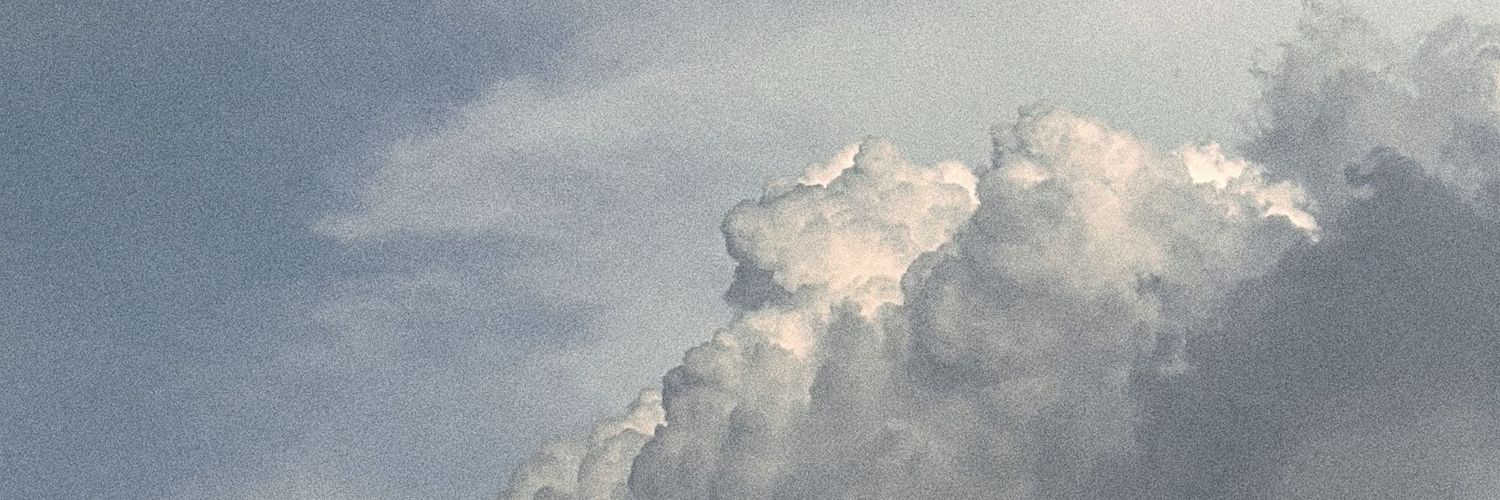 giapalamie's profile banner image