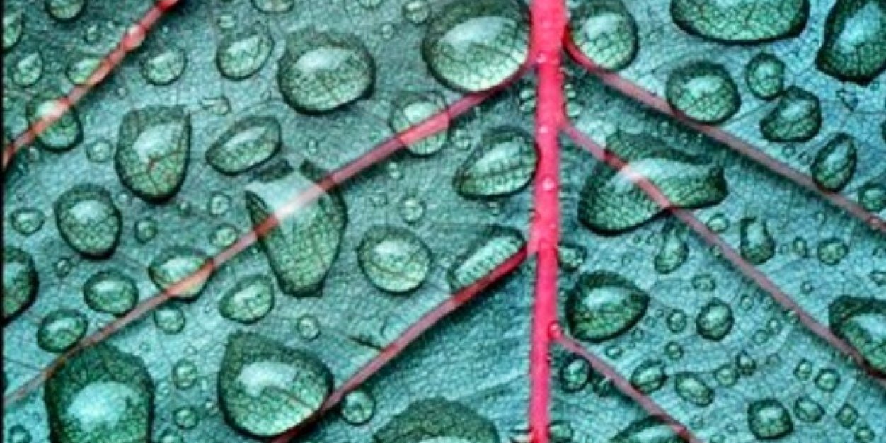 PollockSarah's profile banner image