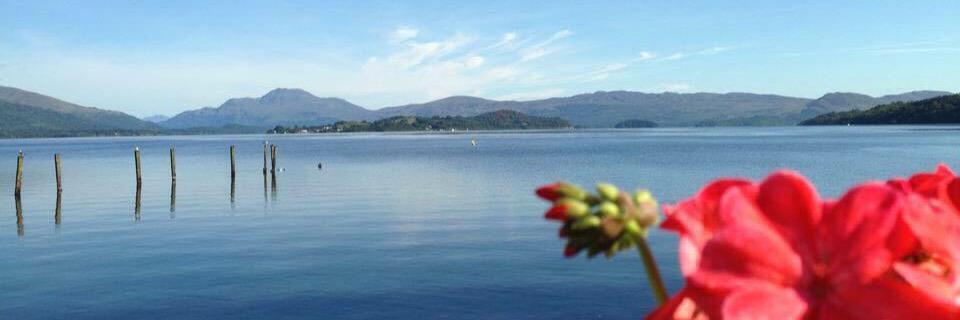 pete_luscombe's profile banner image