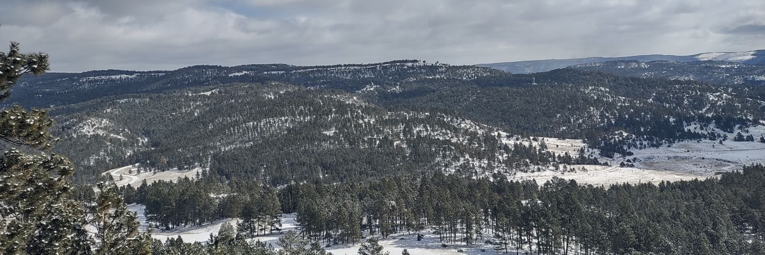 nmber1shitbyrd's profile banner image