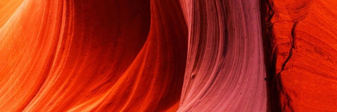 sandrine banner