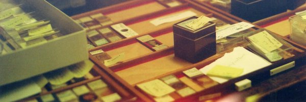 chealsye Profile Banner