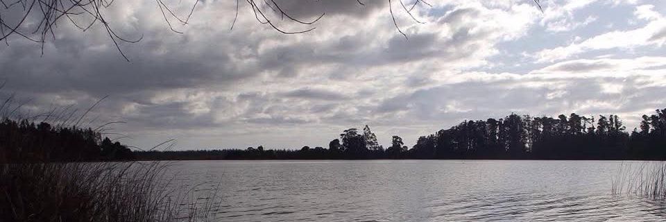 kikaMF_'s profile banner image