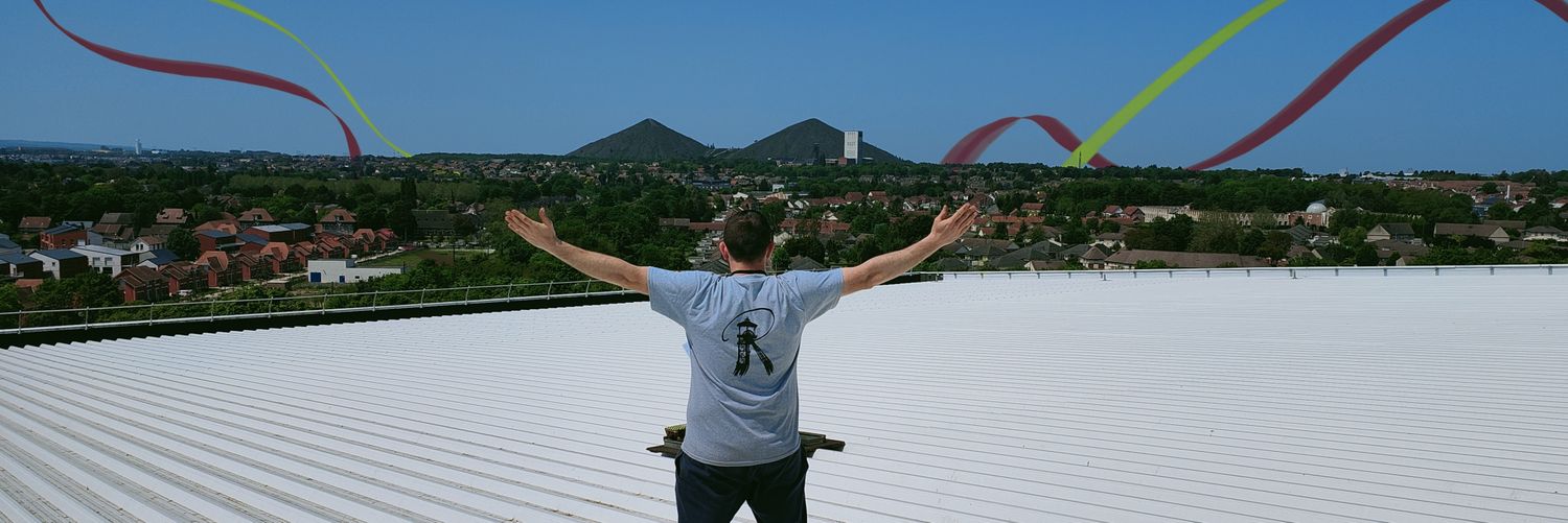 Mister PAF banner