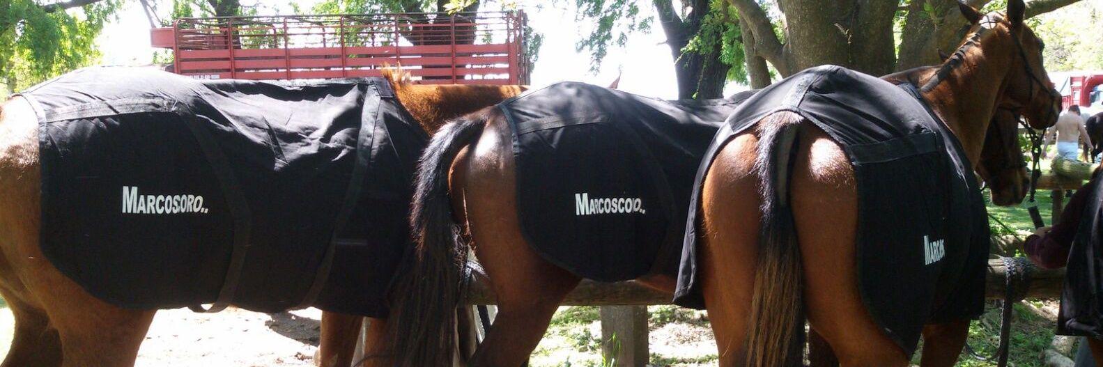 marcoscoropato's profile banner image