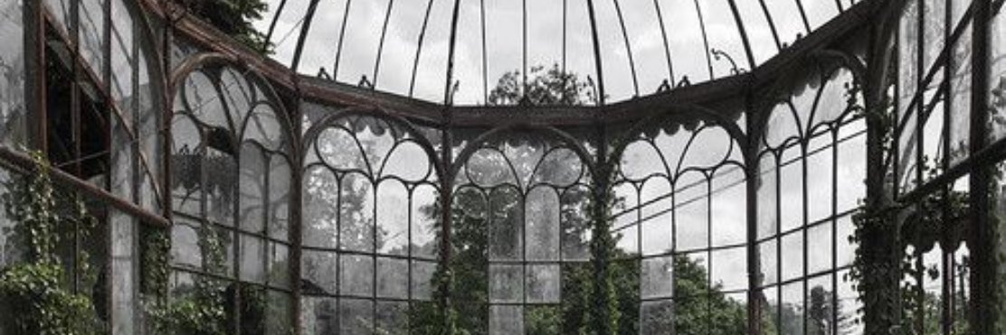 owllunarmoss's profile banner image