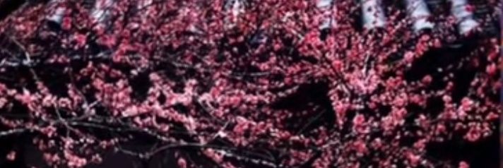 _Appropriate__'s profile banner image