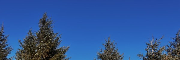 nmk_sebjames Profile Banner