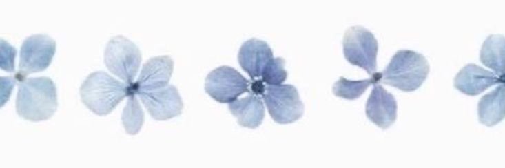 seymasux's profile banner image