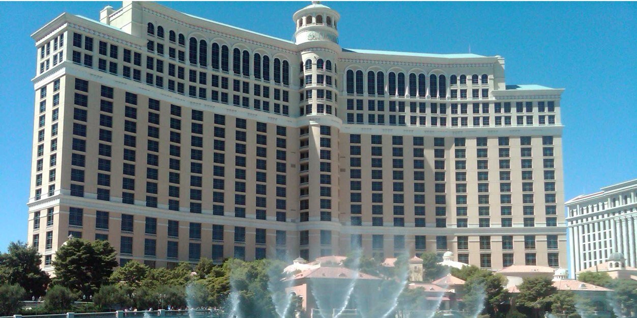 Shaun Whieldon banner