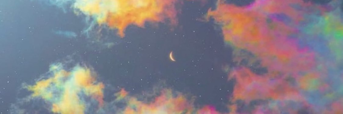 MemiPiccirillo's profile banner image