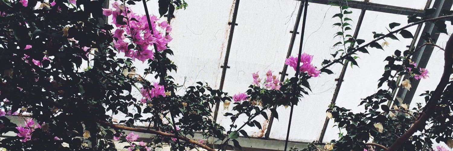 nessabrd's profile banner image