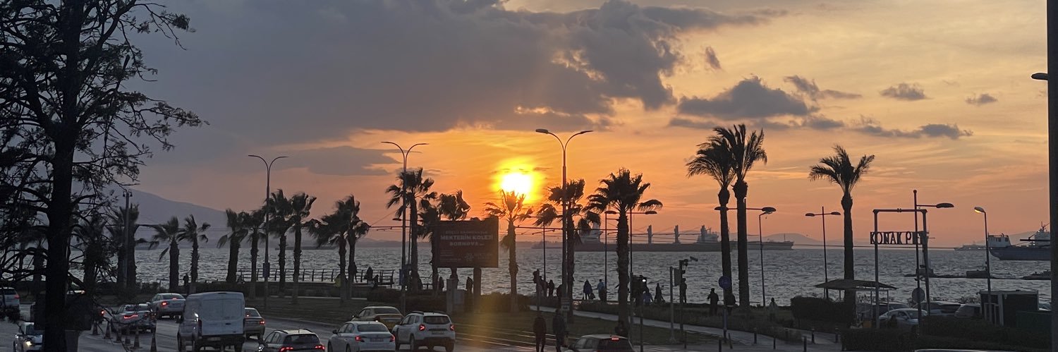 msifayildirim's profile banner image