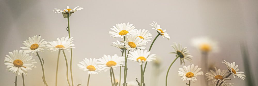 AHmengibar's profile banner image