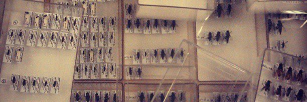 Daniel Whitmore banner