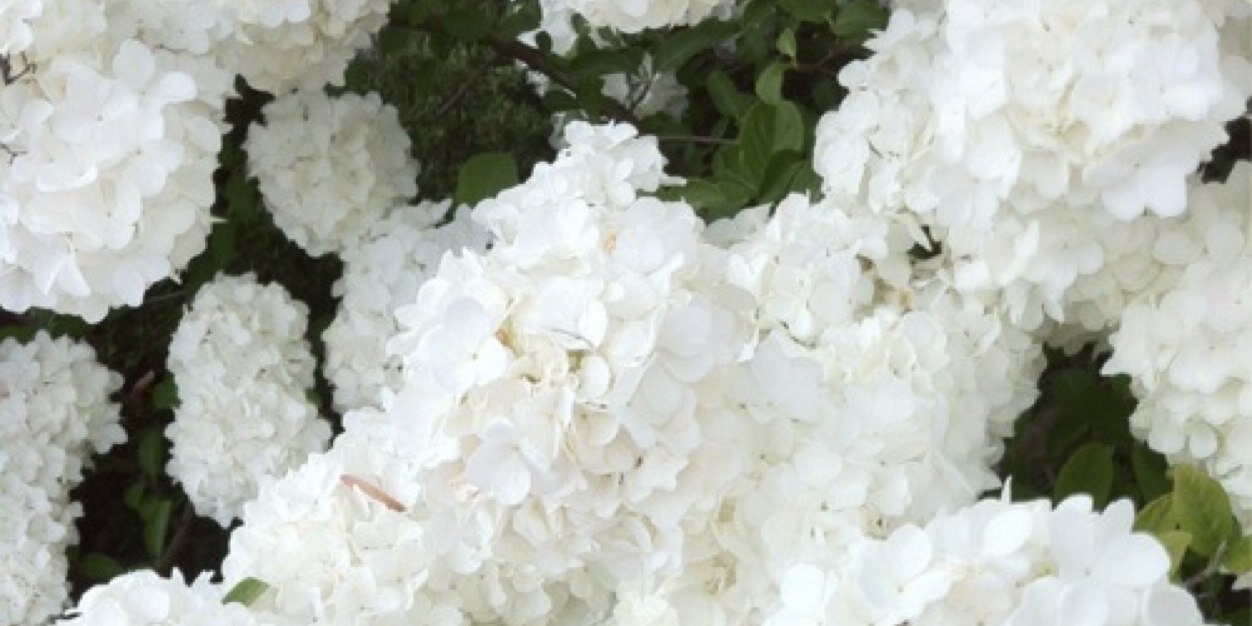 natalie_deas's profile banner image
