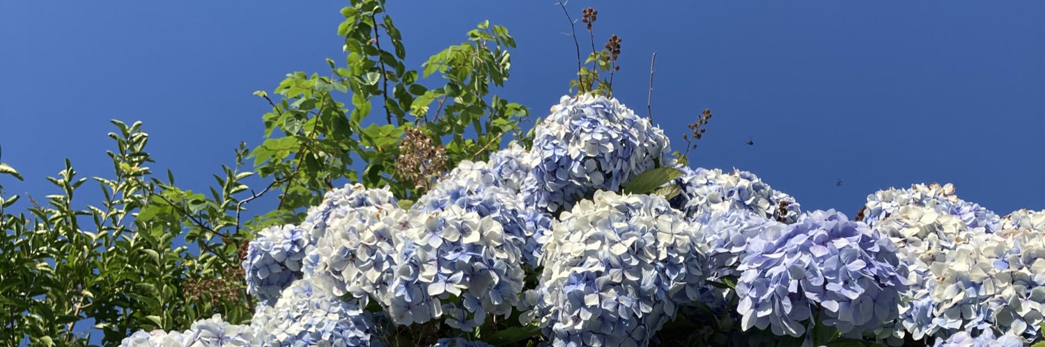 tranche27d's profile banner image