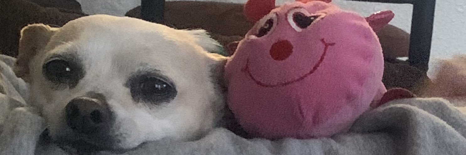 _brianad30's profile banner image