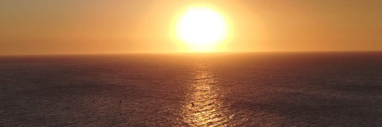 rosagadea2's profile banner image