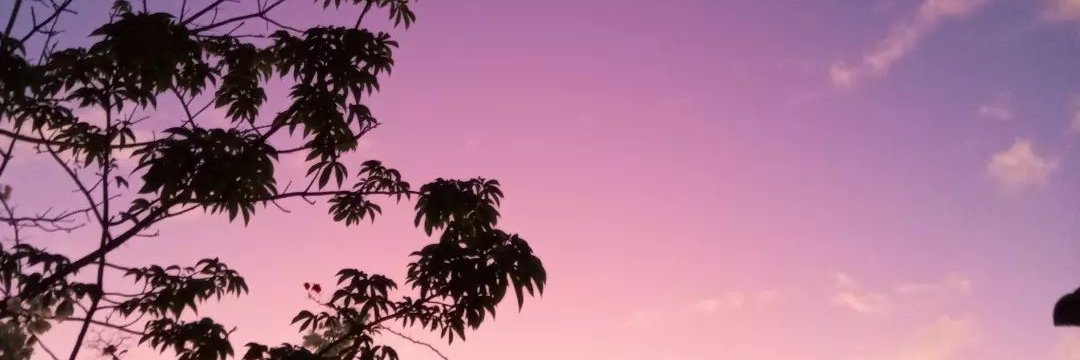 MicheleFreire's profile banner image