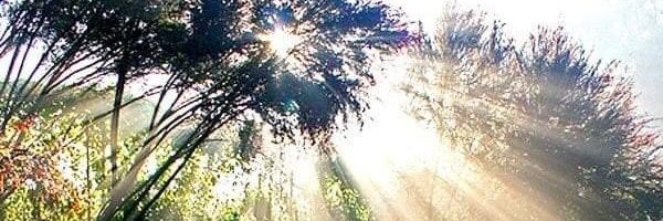 yasser_mohd's profile banner image