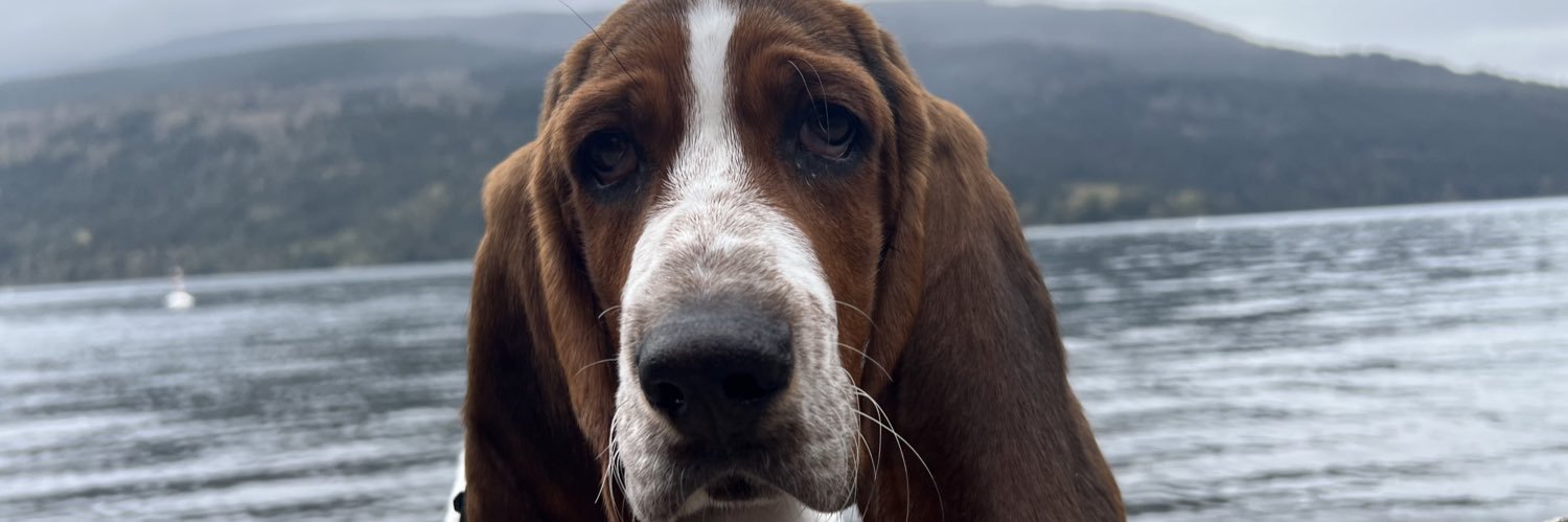 Naomi cummings banner