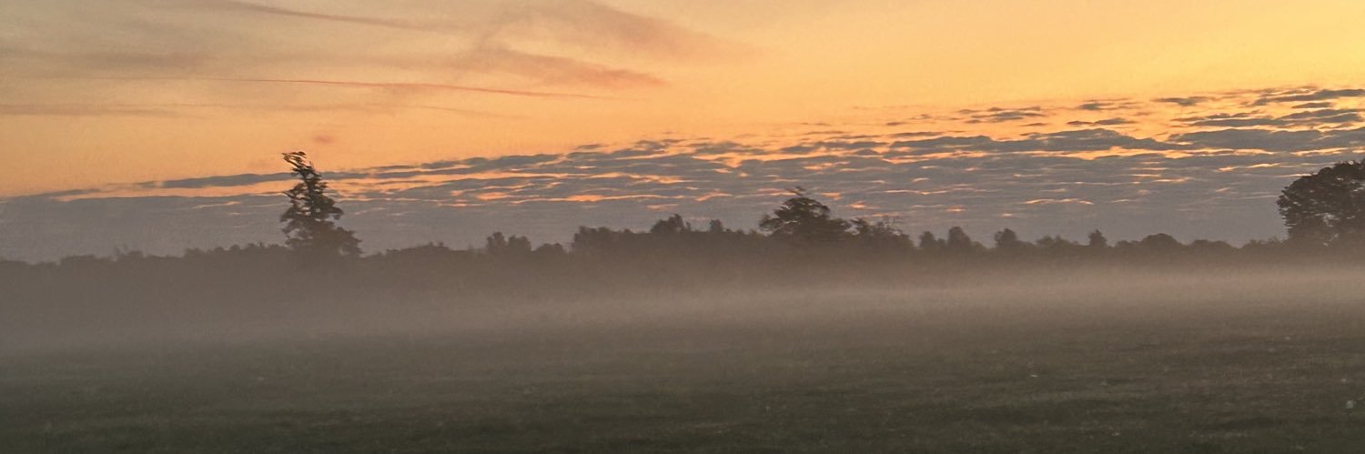 Catherine Pettifer 💙🐝🌹🇬🇧🇺🇦 banner