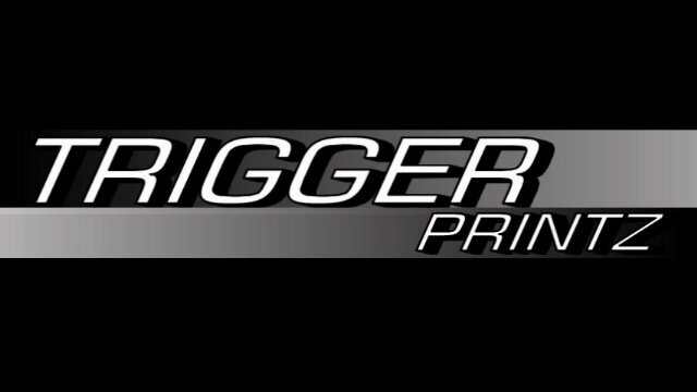 TriggerPrintz's profile banner image