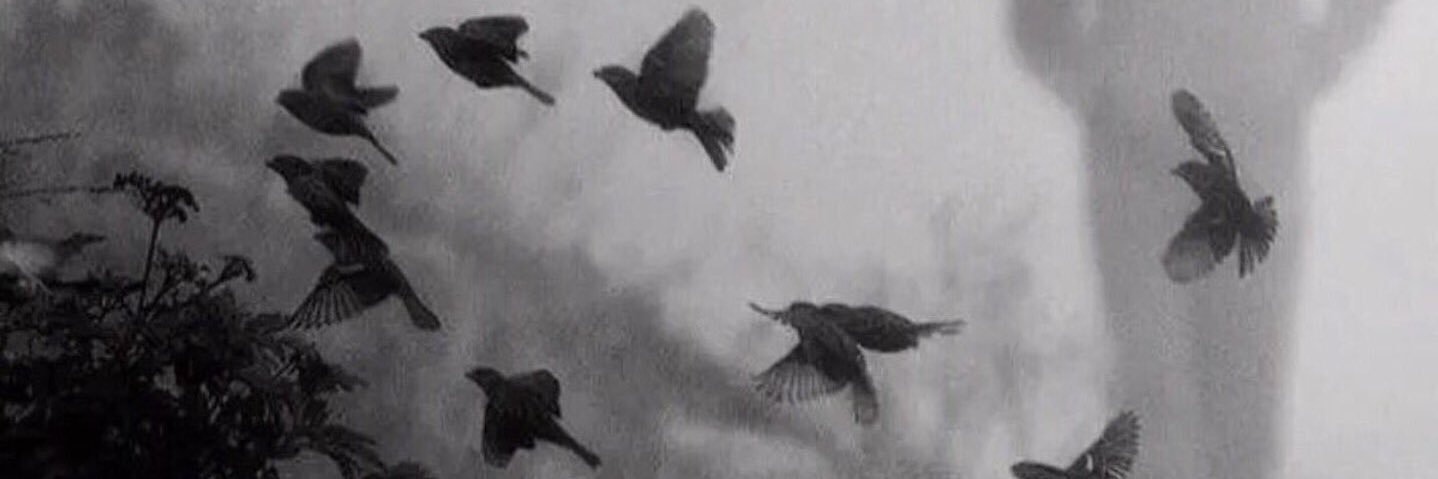 sooz1414's profile banner image
